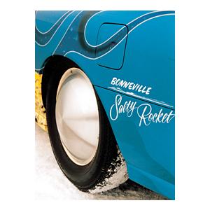 MOONEYES 14インチムーンディスクホイールキャップはめ込みタイプ ムーンディスク 14インチ 4枚セット レア！ムーンアイズゴールドムーン