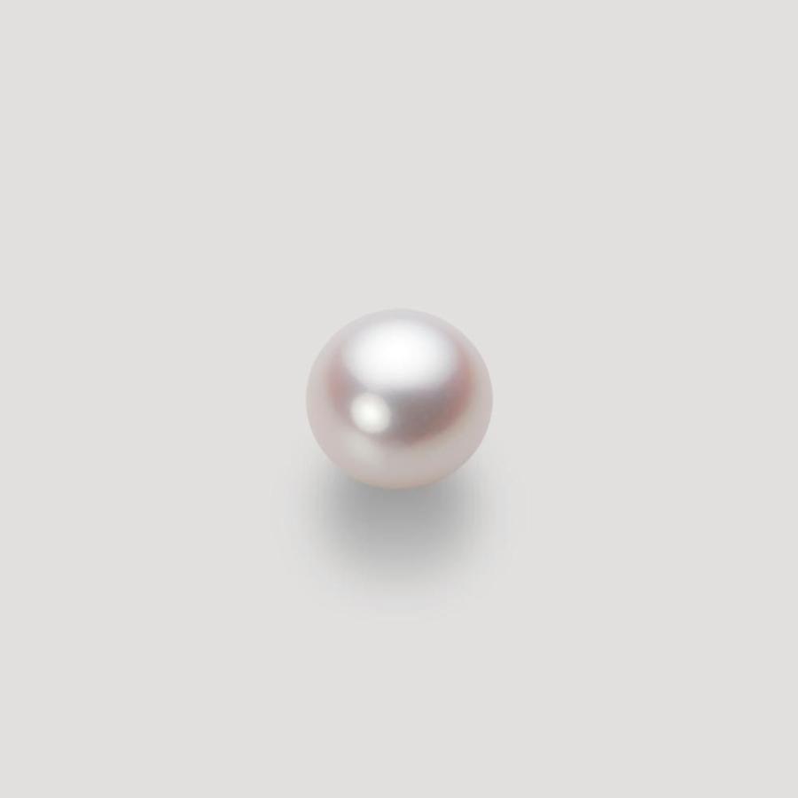 [ムーンレーベル 公式] パール ピアス レディース あこや真珠 7.5mm アコヤ 真珠 ピアス Pt900 プラチナ  HA00075B13WPNPA04Pの画像
