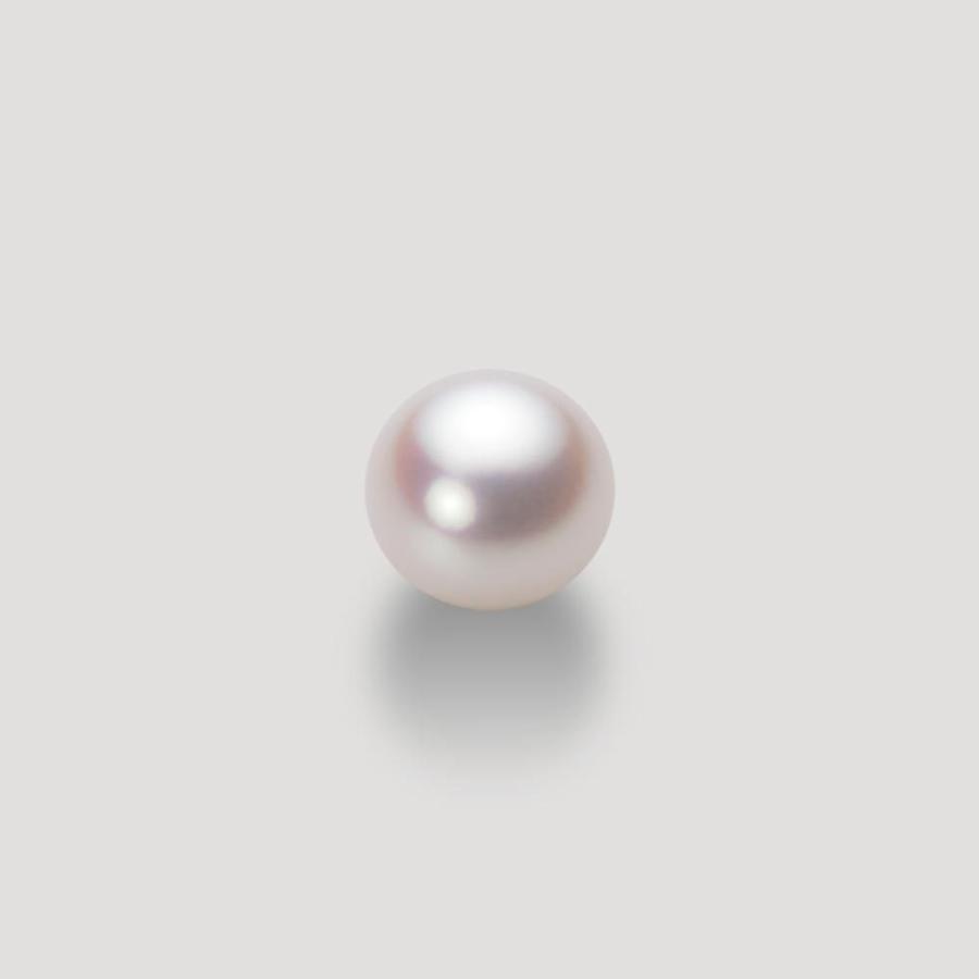 [ムーンレーベル 公式] パール ピアス レディース あこや真珠 8.5mm アコヤ 真珠 ピアス Pt900 プラチナ  HA00085B13WPNPA04Pの画像