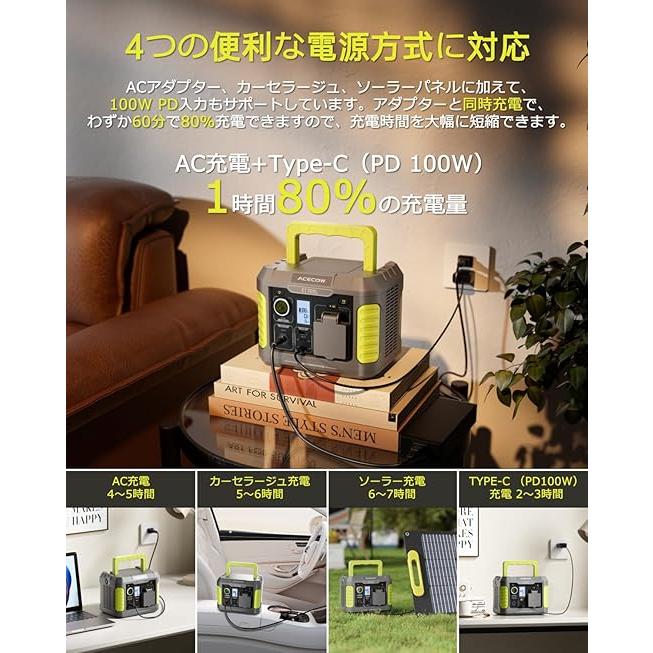 ポータブル電源 純正弦波 / AC出力300W(最大450W)