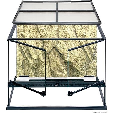 GEX（ジェックス） エキゾテラ グラステラリウム 4530 爬虫類 飼育