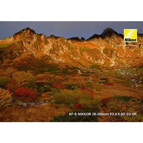 最安値❕ Nikon 高倍率ズームレンズ AF-S NIKKOR 28-300mm f/3.5-5.6G ED VR フルサイズ対応 【2006114192】(71790円)