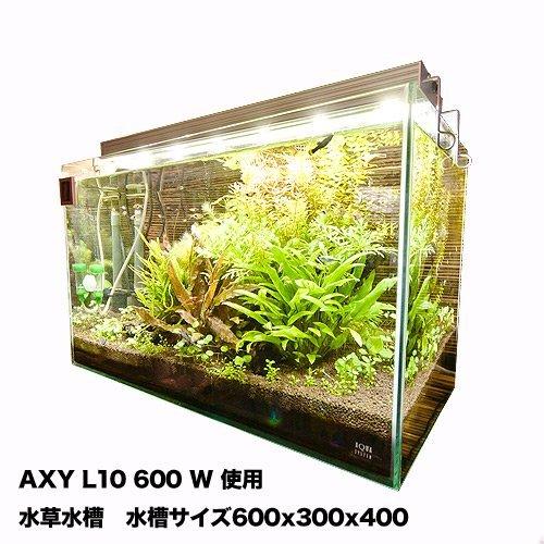「送料無料・年末感謝」 アクアシステム AXY L10 600 W 【3087878679】(17161円)
