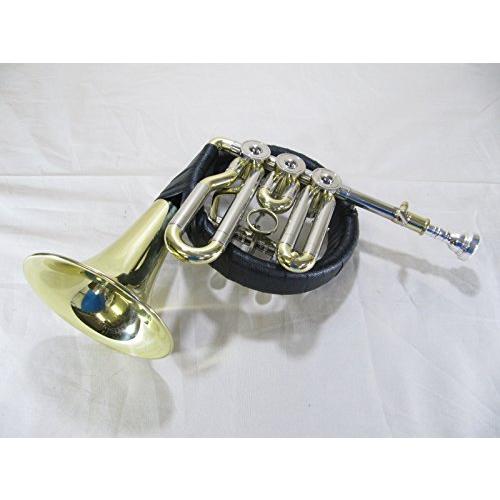 超大特価珍しい ロータリー ポストホルン 740 管楽器、吹奏楽器