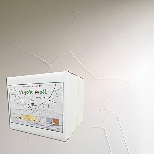 最安値挑戦 ベジタウォール 漆喰 練り済み 16kg ホワイトアスパラ 最終値下げ Atempletonphoto Com