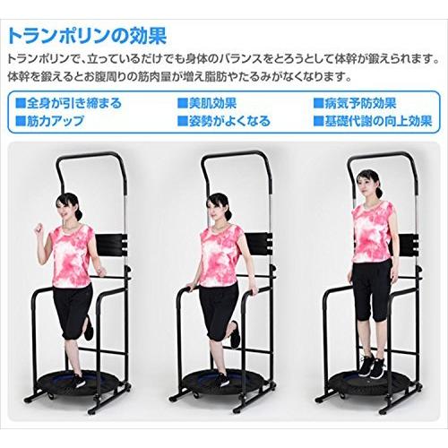 アルインコALINCO ぶら下がり健康器 懸垂マシン バランスウォーク EX8017 トランポリン 付 