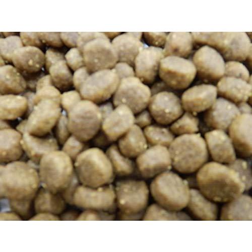 【限定品】 ウィッシュ ドッグフード Wish 関節HAS‐II おなかの健康維持 1歳から 11kg 【2196702101】(12209円)