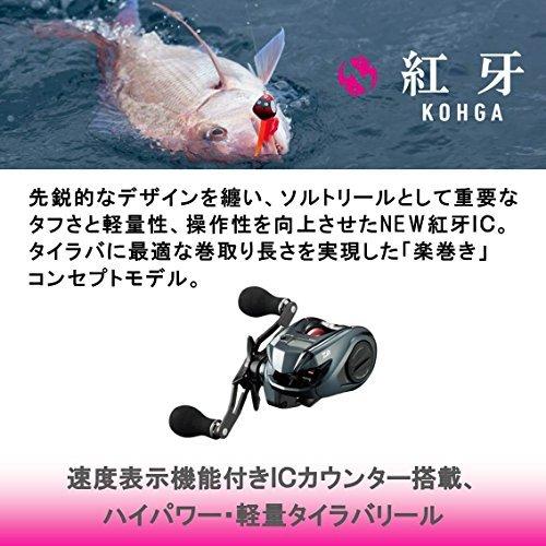 人気商品ランキング ダイワdaiwa 18モデル 100p Rm Ic 紅牙 18 カウンター付リールタイラバ ベイトリール ルアー用 Www Maketheleapcoaching Com