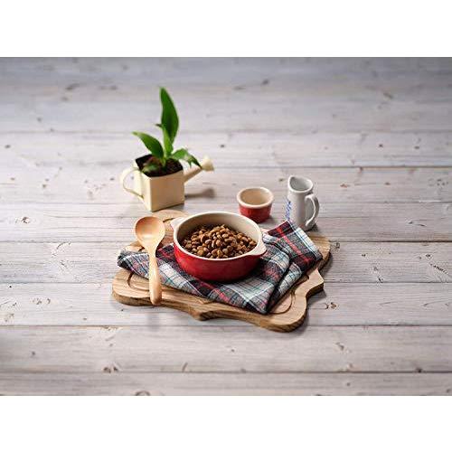 ソルビダ グレインフリー ターキー 室内飼育全年齢対応 5.8kg 