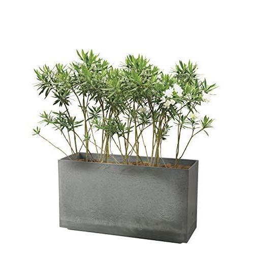 専用出品 リッチェル 大型プランター 陶器風 ホワイト 80×29.5×45cm ラヴィーレWS レクタングル 80型 底面給水機能付き 709040 【J3366718127】(18713円)