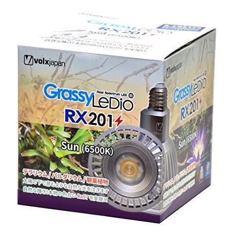 ボルクスジャパン グラッシーレディオ RX201 サン 6500K 