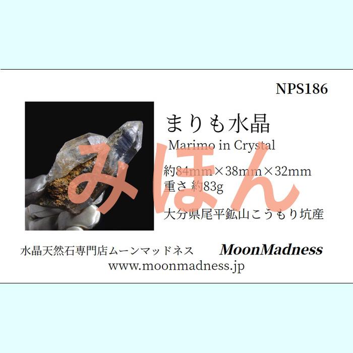 大分県尾平鉱山産まりも水晶　NPS186｜moonmadness｜07