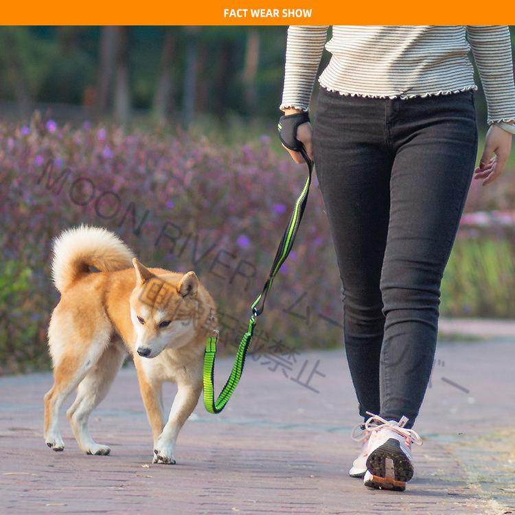 犬 リード 犬用リード 伸縮 ハンズフリー グローブ式 手のひらに付けるリード ランニングリード ジョギングリード 反射リード 小型犬 中型犬 大型犬 散歩 Pet22 Moon River 通販 Yahoo ショッピング
