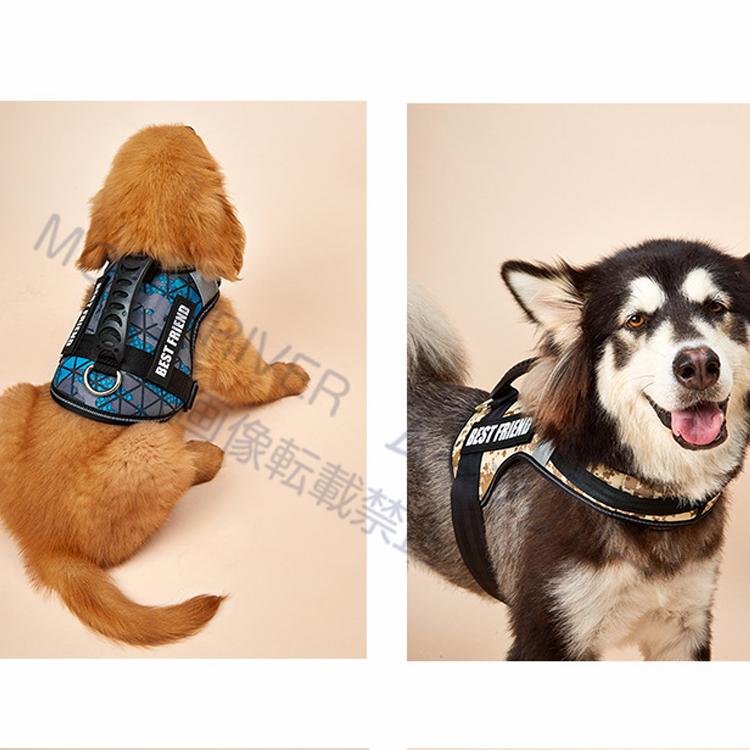 犬のハーネス 犬用 ハーネス 胴輪 おしゃれ おすすめ 名前入り 小型犬