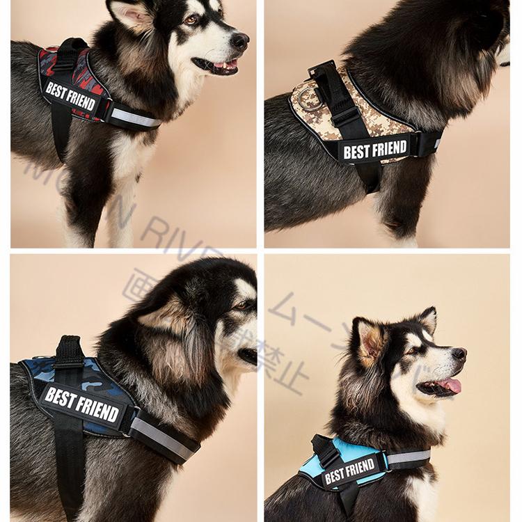 名前入りの胴輪 犬 名前入り ハーネス 犬用 おしゃれ おすすめ 小型犬