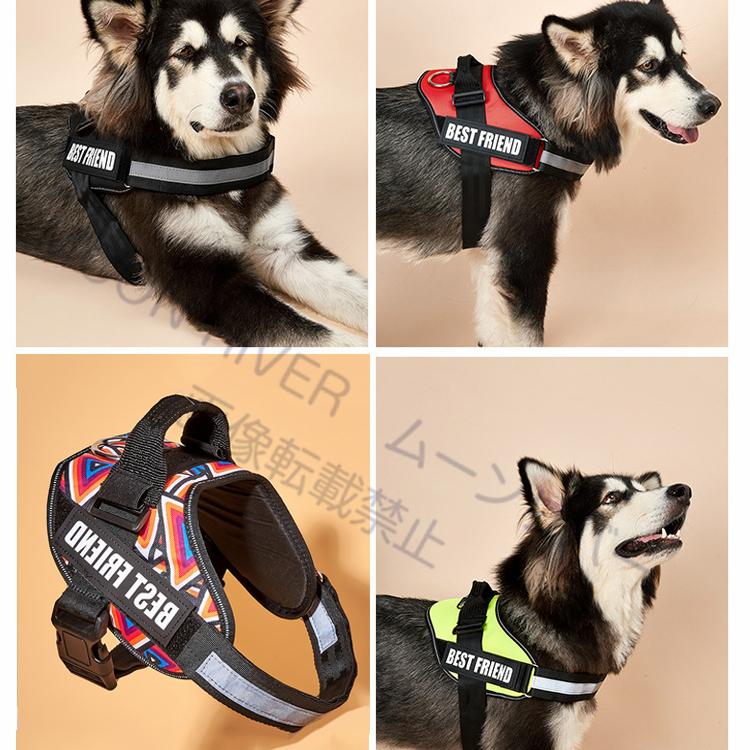 名前入りの胴輪 犬 名前入り ハーネス 犬用 おしゃれ おすすめ 小型犬
