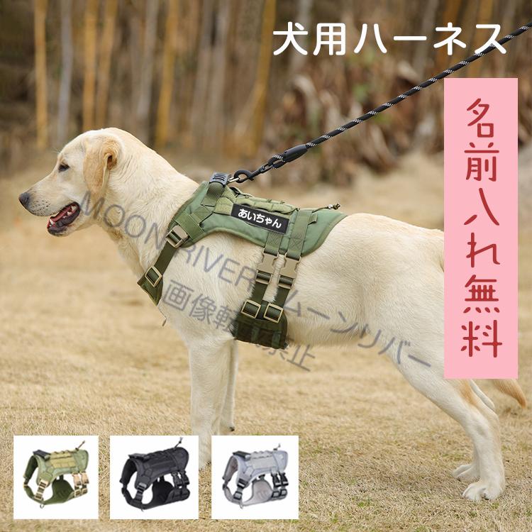 大型犬胴輪 大型犬胴輪