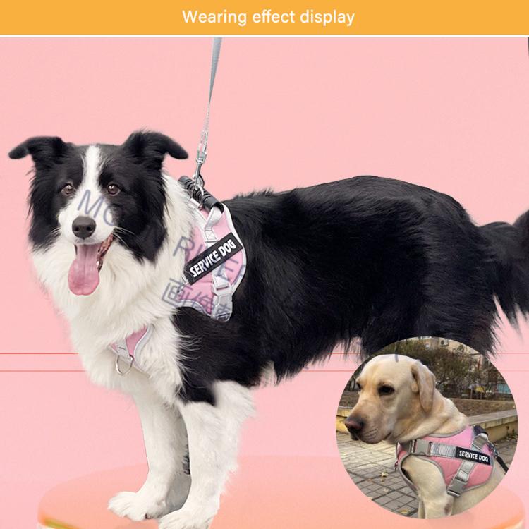 無料ネーム入れ 犬 ハーネス 名前入り胴輪 犬用 おしゃれ おすすめ