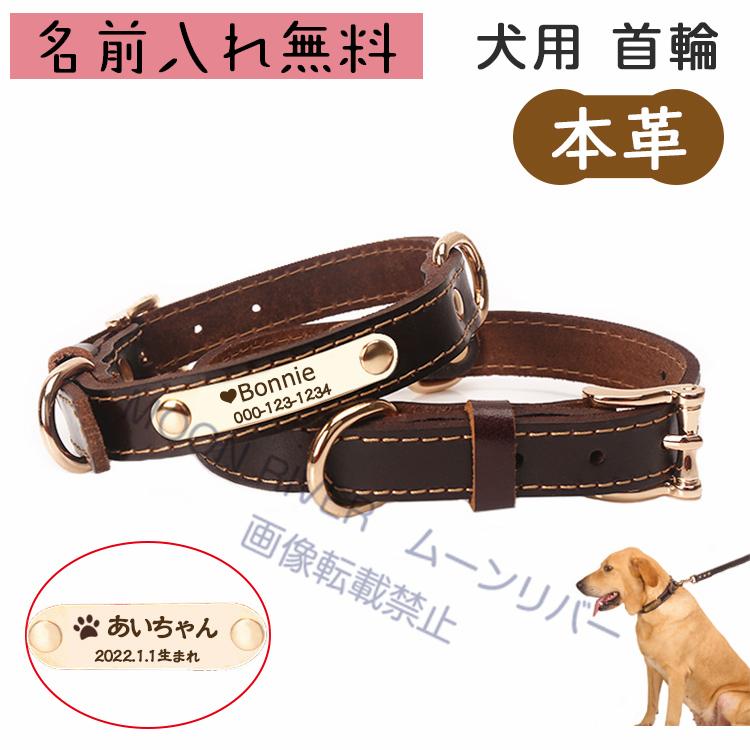 迷子札付き首輪 レザー 犬 革 名前入り 名入れ 首輪 本革 柔らかい
