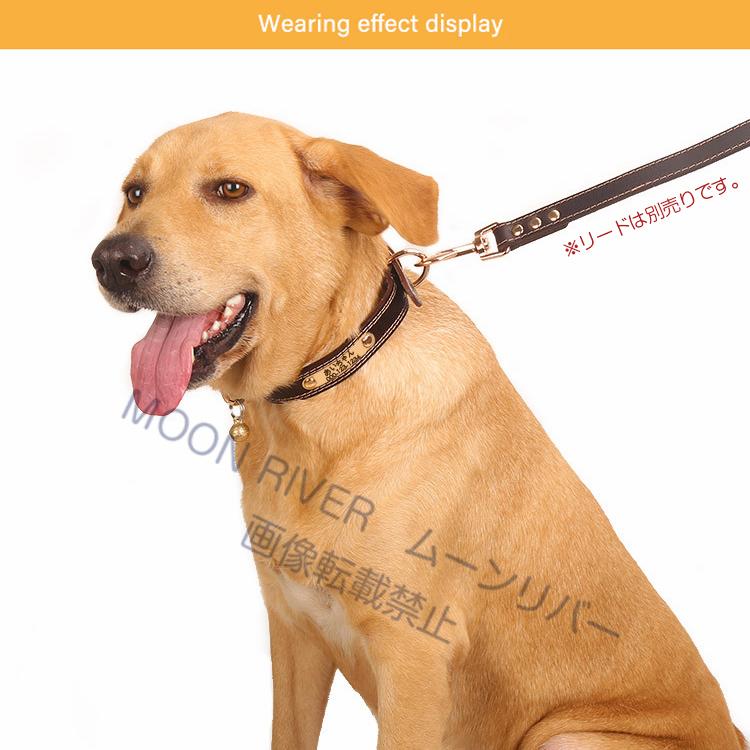 迷子札付き首輪 レザー 犬 革 名前入り 名入れ 首輪 本革 柔らかい