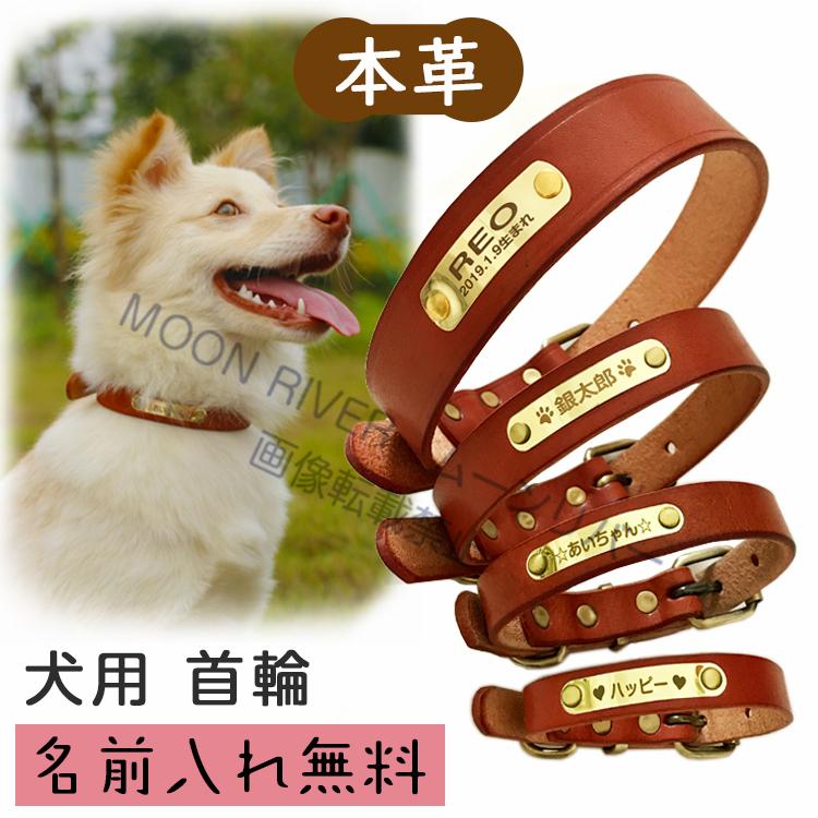 犬 名入れ首輪 本革首輪 犬用 名前入り 本革 革 レザー おしゃれ