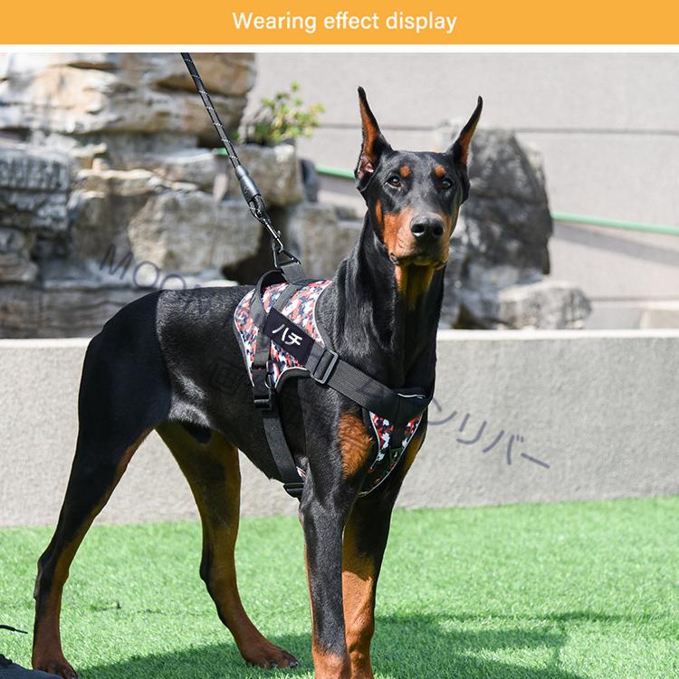 犬 ハーネス 迷彩柄 名前入りの胴輪 おしゃれ おすすめ 名前入り 胴輪