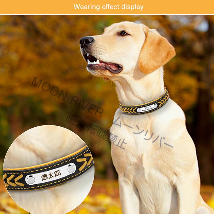 犬 名前入りの首輪 革 犬用 ネーム入れ首輪 迷子札 ネームタグ 名入れ