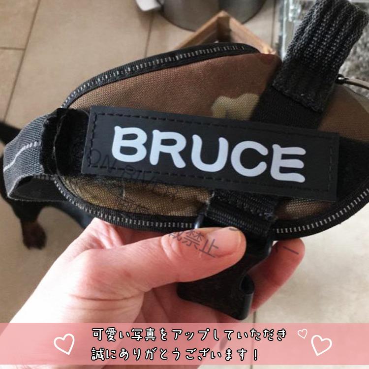 犬 胴輪 ハーネス用ラベル 同じ2枚 名入れ 名前入り オリジナルラベル