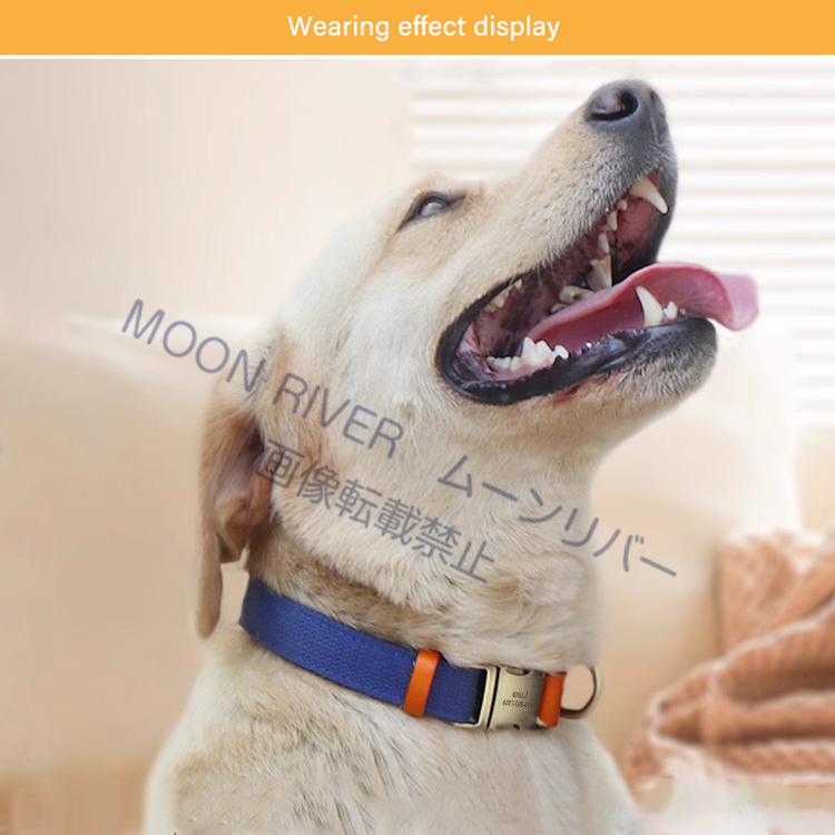犬用 ズック首輪 迷子札付き 名前入り首輪 ネーム入り首輪 迷子