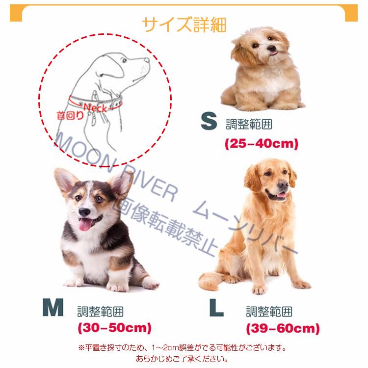 首輪リードセット 犬 名入れ 名前入り 犬用 首輪 リード 2点セット