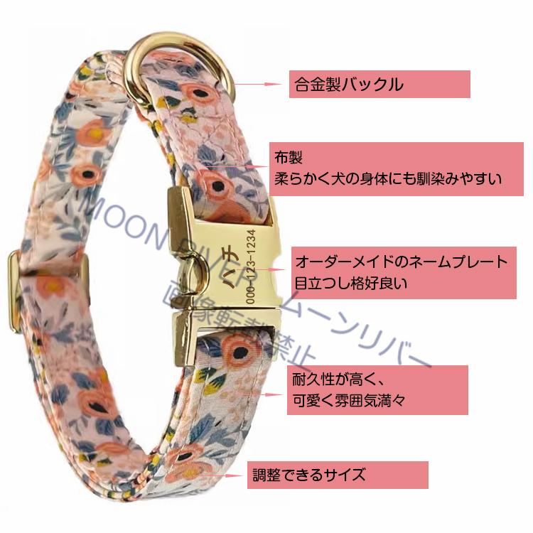 犬用首輪 リードセット ネームプレート 犬 名入れ 名前入り 犬用 首輪