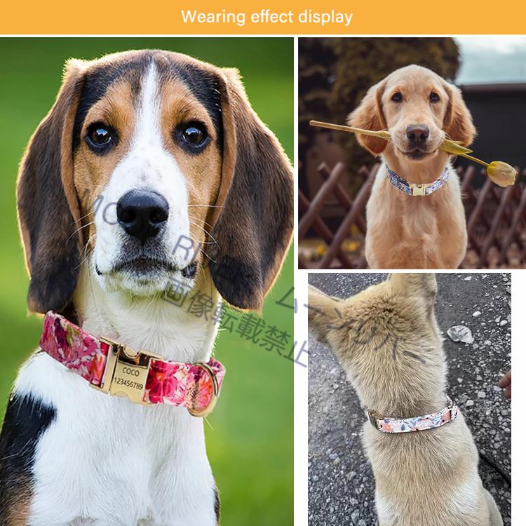 犬用首輪 リードセット ネームプレート 犬 名入れ 名前入り 犬用 首輪