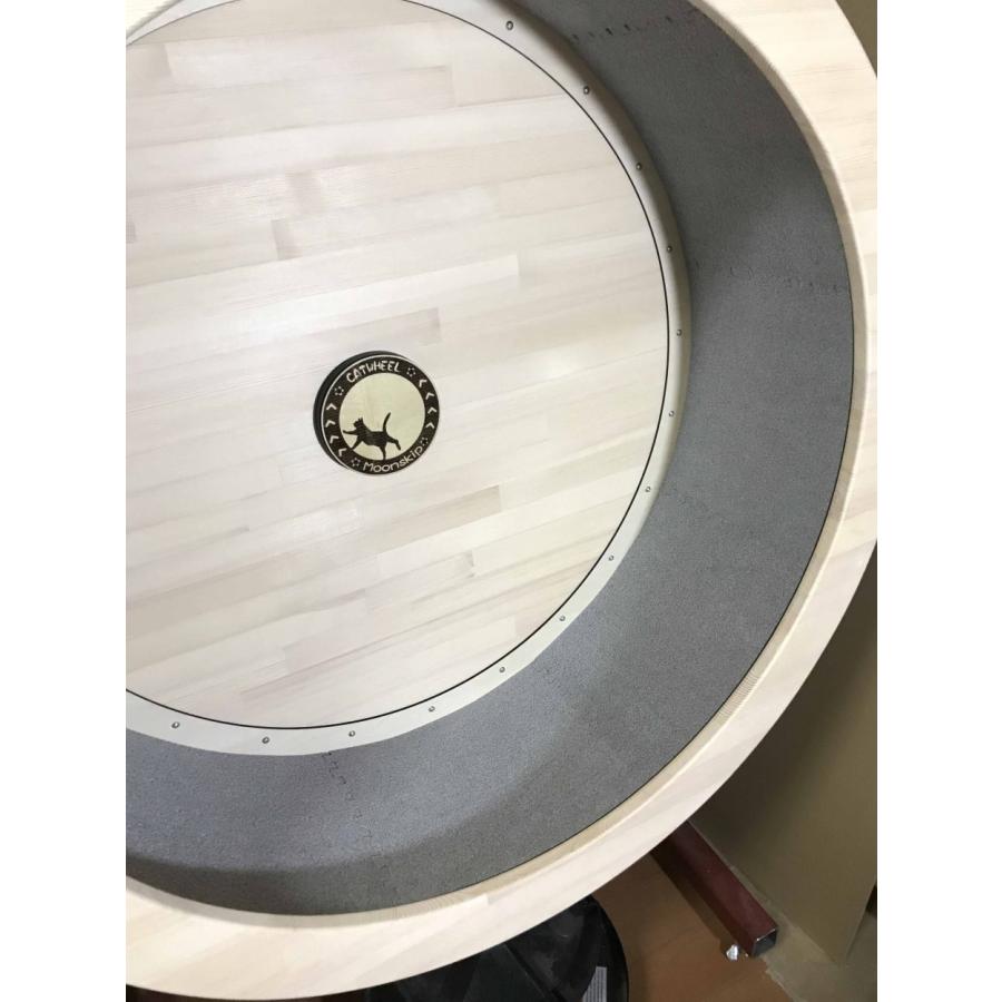 ※専用品※ キャットホイール 新品未使用品 送料込み 楽天市場】Ciaobot（チャオボット）キャットホイール 猫