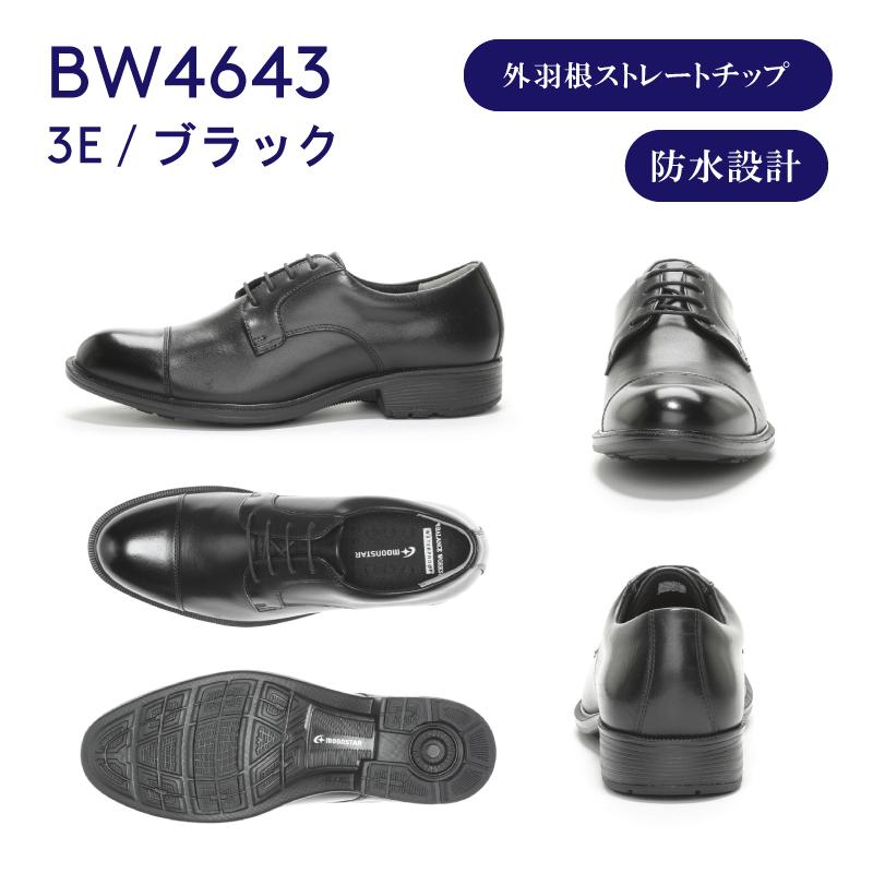 BALANCE WORKS ムーンスター バランスワークス 透湿防水 本革 幅広 3E