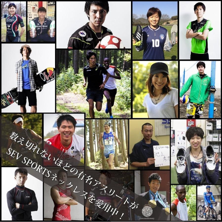 セブ/SEV メタルレールSi Type-code★送料無料★ | SEV | 03