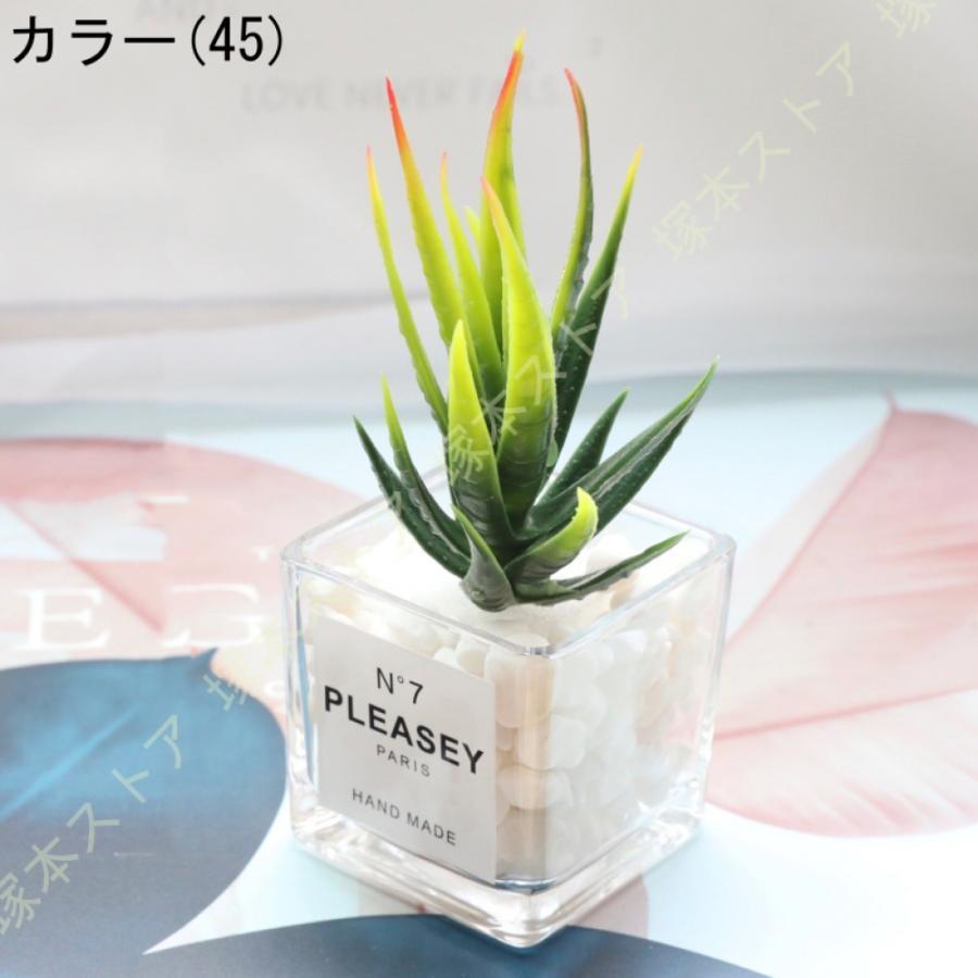 フェイクグリーン 人工多肉植物 かわいい 人工観葉植物 小型 ミニ 鉢植え インテリア飾り 卓上 水やり不要 お世話不要 鮮やかな色 観葉植物 人工観葉植物｜moorebear｜06