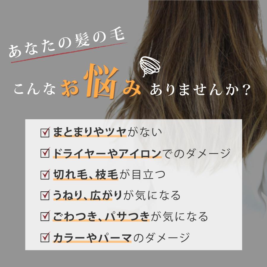 PPTリペア ヘアオイル 100ml トリートメント 洗い流さないトリートメント トリー トメントオイル アウトバストリ ートメント Iletile | Iletile | 03