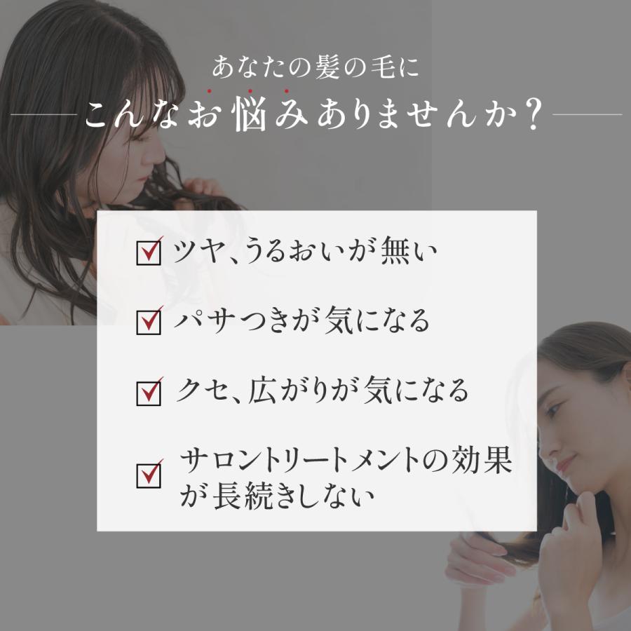 超音波アイロン 超音波トリートメント ホームケア トリートメント浸透促進 ヘアアイロン Iletile アイルティル |  | 03