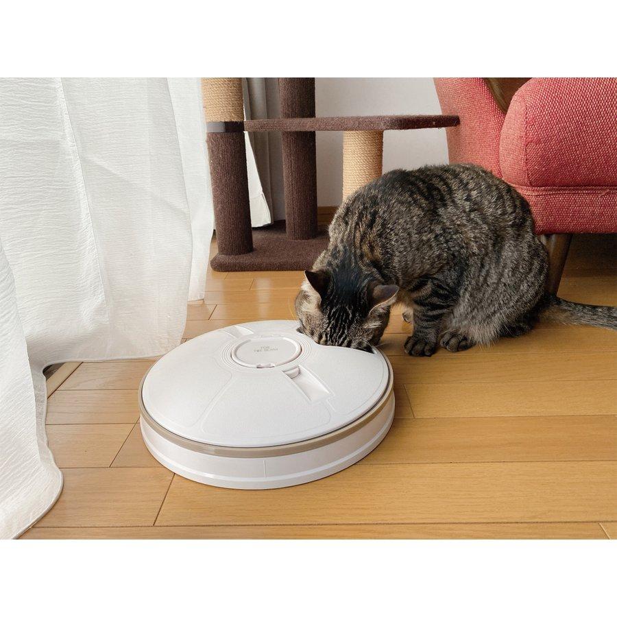 自動 えさやり器 ペット用 6食分 タイマー付 回転式 自動給餌器 音で