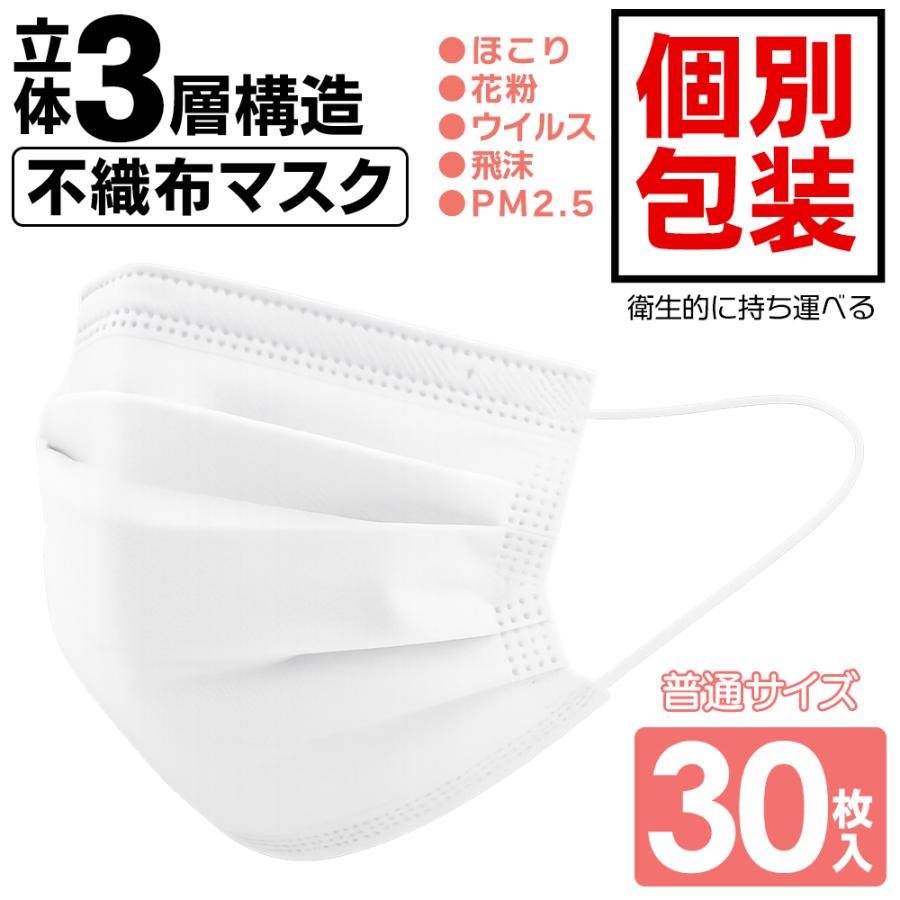 防災用マスク 大人用 約2m 個別包装 マスク 不織布 30枚入り 個別包装 立体 柔らかい耳ゴム 使い捨て 大人