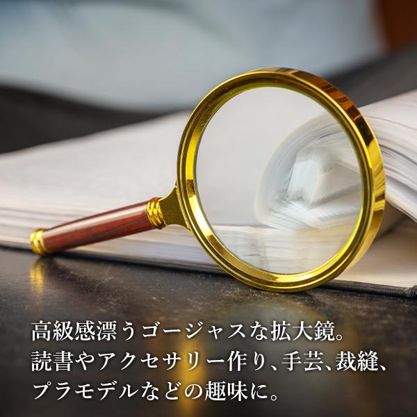 虫眼鏡 ハンドルーペ 虫メガネ 拡大鏡 3倍 よく見える 手持ち ルーペ