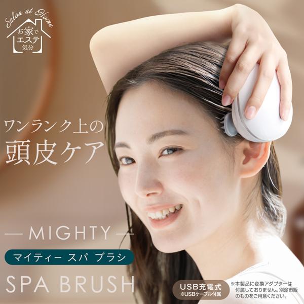 電動 ヘッドスパ 頭皮 ケア ヘッドブラシ 赤色LED光ケア 低速 高速