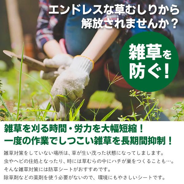 2個セット 防草シート 除草シート 1m×5m 雑草防止 敷くだけ 雑草対策 U