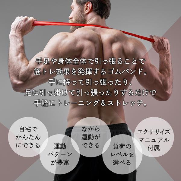 トレーニングチューブ 5本 筋トレ 強度別 ストレッチ ヨガ 体幹 ジム
