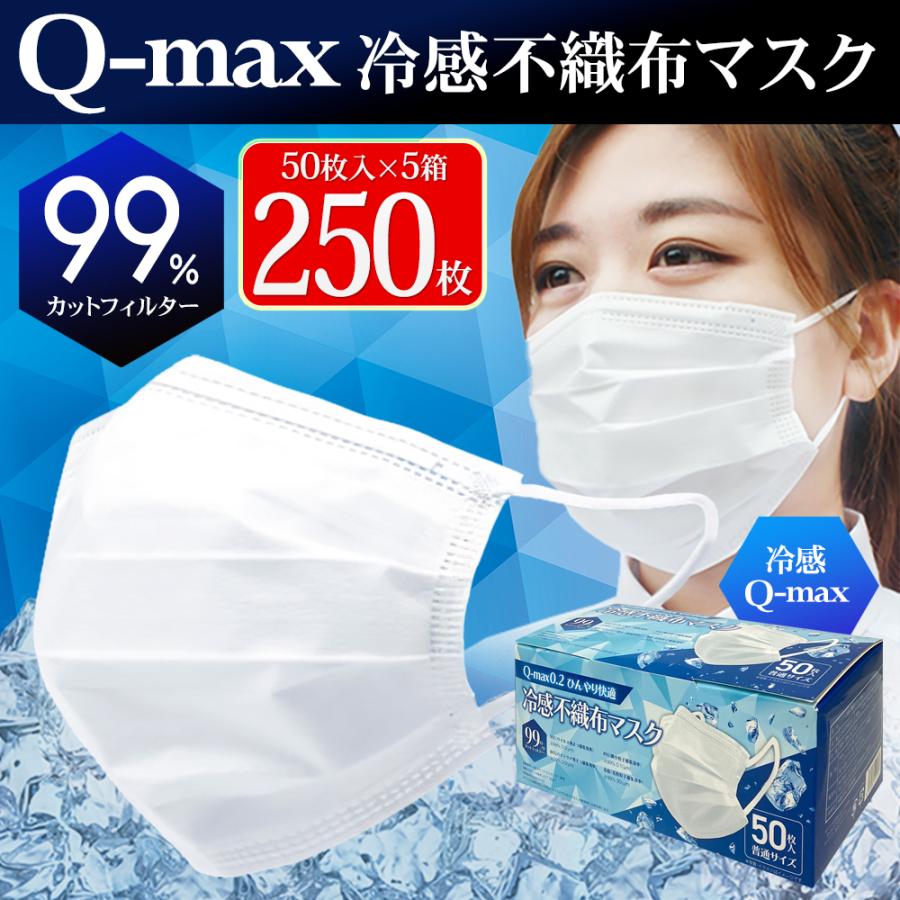 冷感マスク 不織布 50枚×5箱セット 花粉 冷感グッズ 白 250枚入 立体