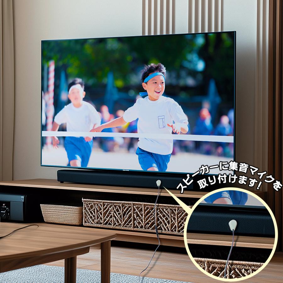 テレビスピーカー 手元 有線 5m 簡単接続 言葉くっきり 貼るだけ 簡単