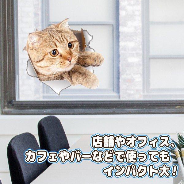 送料無料 ねこ ステッカー 壁からネコが飛び出す 猫 ウォール