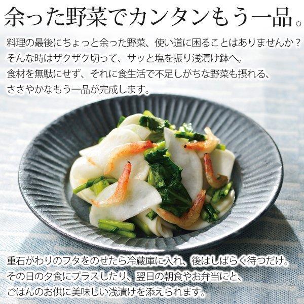 送料無料 浅漬け 陶器製 フタが重石に 自家製 野菜 漬け物鉢 漬け物鉢 漬け物 レシピ付き 漬物 浅漬け キッチン 手作り 浅漬け奉行 More Asaduke モアクリエイト 通販 Yahoo ショッピング