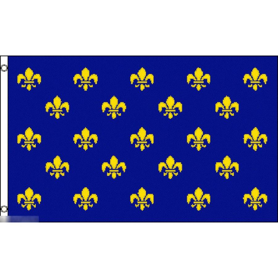 海外限定 国旗 フランス王国 紋章 フルール・ド・リス ユリ 海外限定 国旗 フランス王国 紋章 フルール・ド・リス ユリ