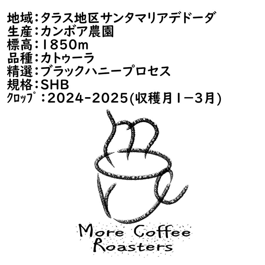 「天空の絆」 200g　カトゥーラ　ブラックハニー　コスタリカ　グァンボア農園　中煎り |  | 01